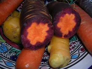 Colorful carrot roots