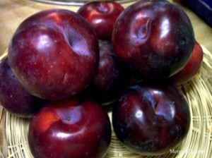 Red plum fruits