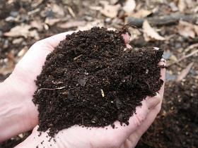 compost