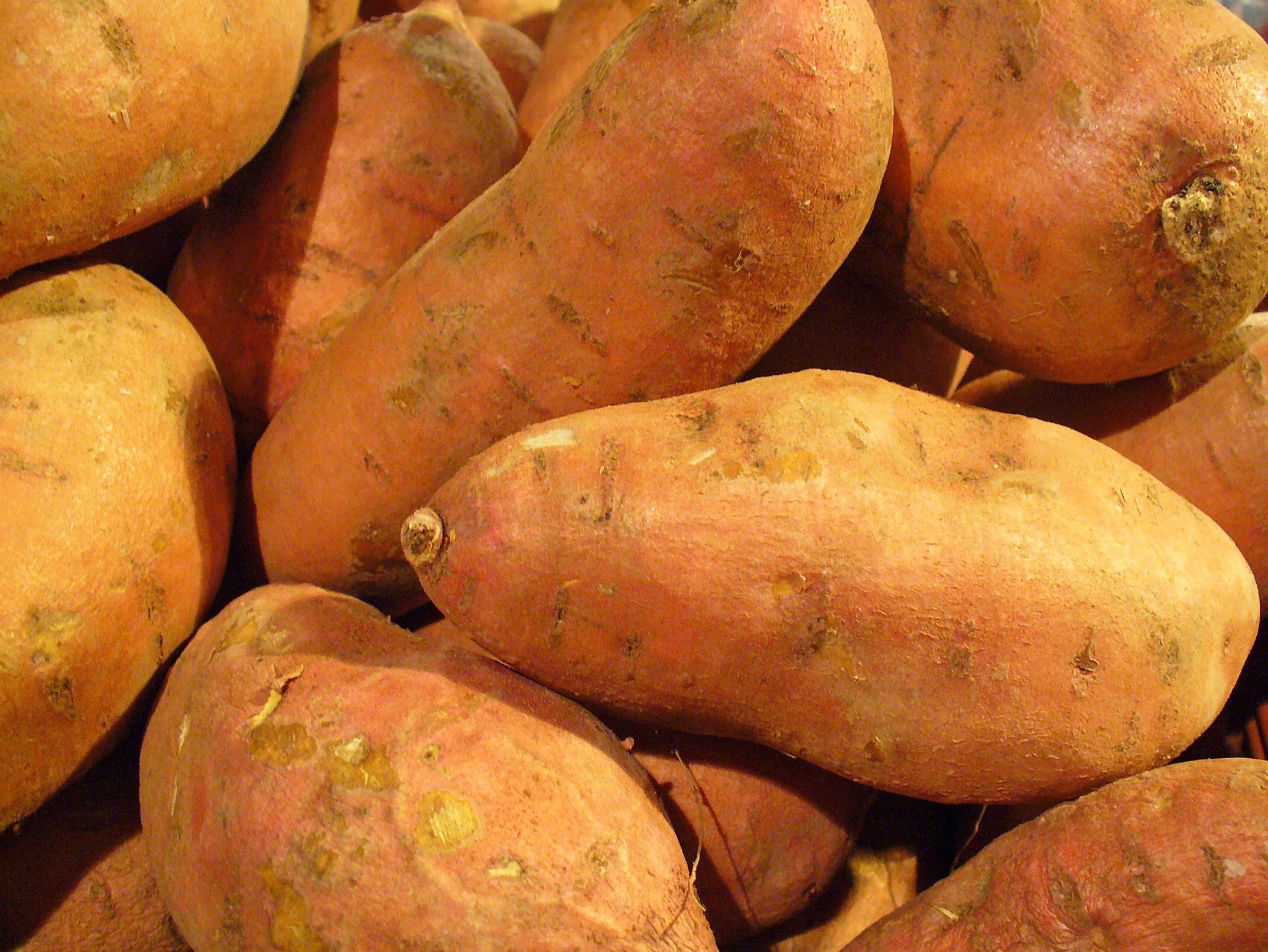 How to Grow Sweet Potatoes
