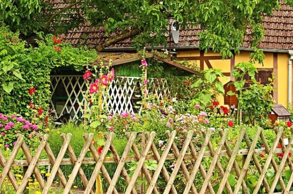 Cottage Gardening Webinar - Image 3