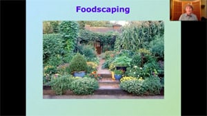 Foodscaping Webinar Diverse edible landscape with vegetables and flowers in Foodscaping Webinar