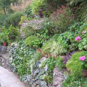 Sloped shade flower garden