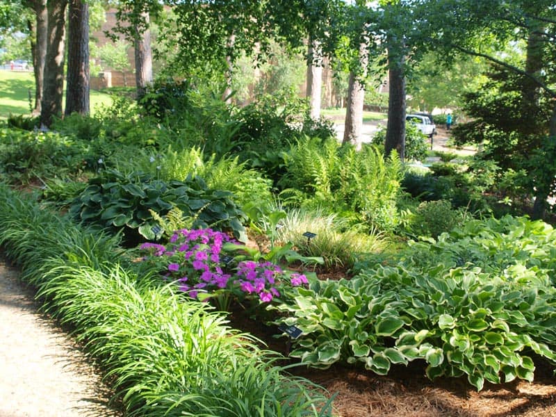 shadegarden4