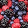 All About Berries Webinar