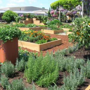 Raised Bed Gardening Webinar