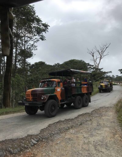 Driving Trucks in National Park in Cuba